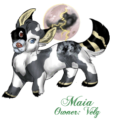 Maia