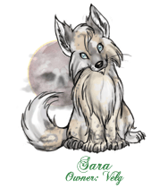 Sara