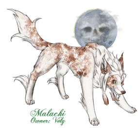 Malachi