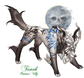 Tanek