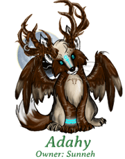 Adahy