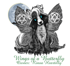 Wings of a Butterfly