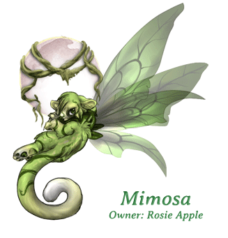 Mimosa