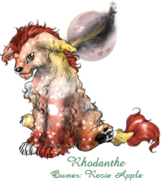 Rhodanthe