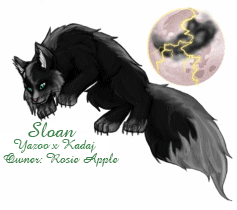 Sloan