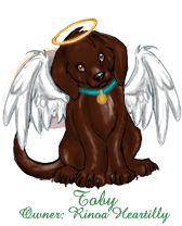 Toby