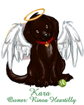Kara
