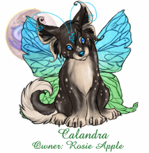 Calandra