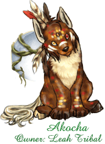 Akocha