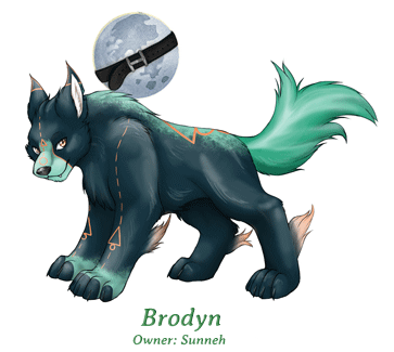 Brodyn