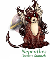Nepenthes