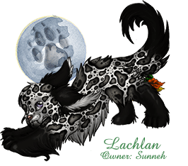 Lachlan