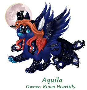 Aquila