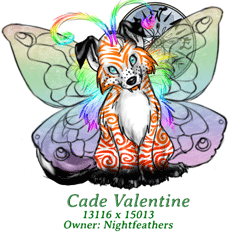 Cade Valentine