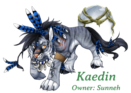Kaedin