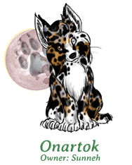 Onartok