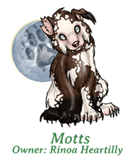 Motts