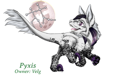 Pyxis