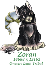 Zoran