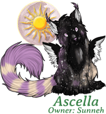 Ascella