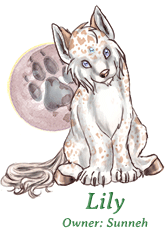 Lily