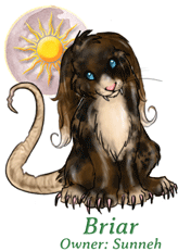 Briar
