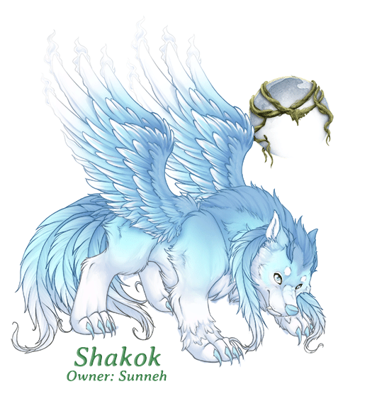 Shakok