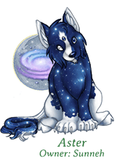 Aster