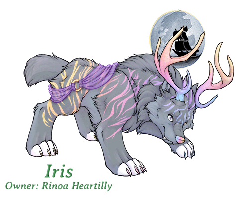 Iris