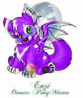 Enzi