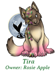 Tira