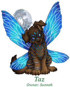 Taz