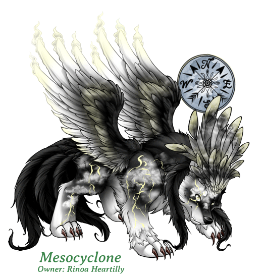 Mesocyclone
