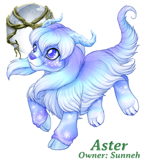 Aster