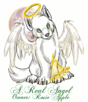 A Real Angel