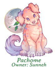 Pachome