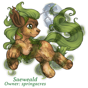 Saeweald