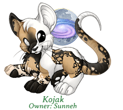 Kojak