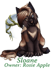 Sloane
