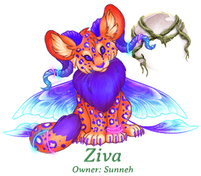 Ziva