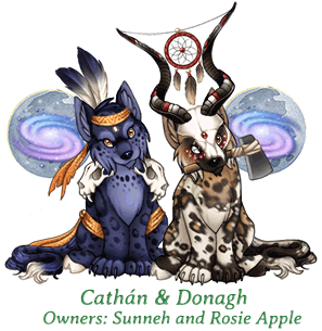 Cathan & Donagh