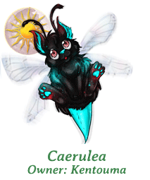 Caerulea