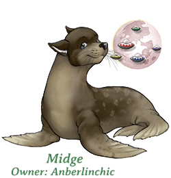 Midge