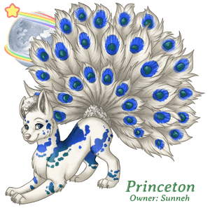 Princeton
