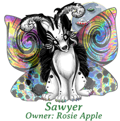 Sawyer