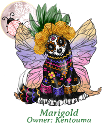 Marigold