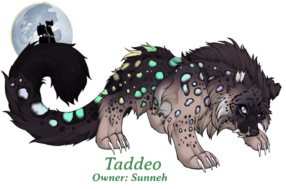 Taddeo