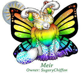 Meir