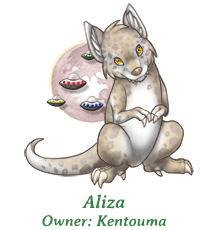 Aliza
