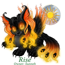 Rise